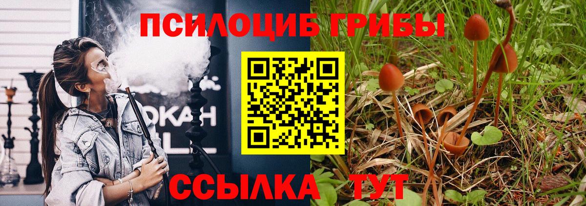 Псилоцибиновые грибы Psilocybe  где купить наркоту  Балабаново  Вход с VPN 